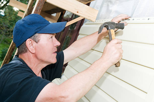 Best Fiber Cement Siding Installation  in Collins, MS